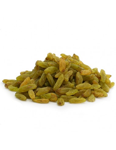 Terrasana Pignon de Pin 150G – Green Village Maroc