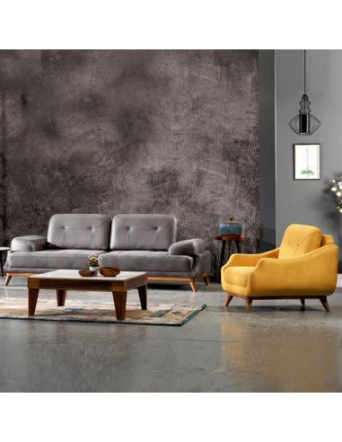 modern style sleeper sofa set