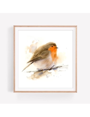 Robin Bird Canvas Painting
