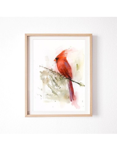 Cardinal Bird Watercolor Painting