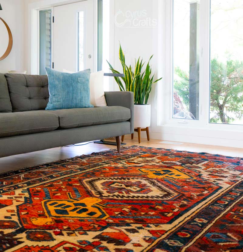Love Rugs? We're introducing the Top Ten Rug Trends for 2024!