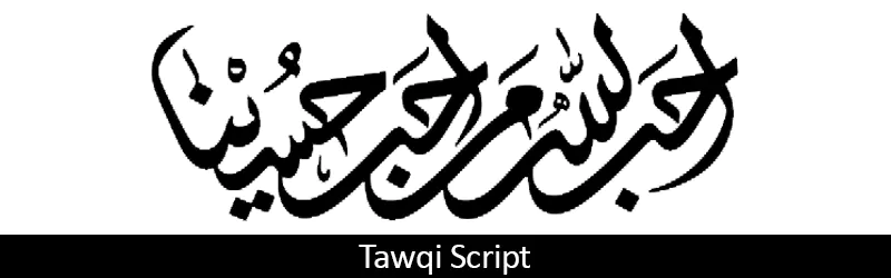 Tawqi Calligraphy Script
