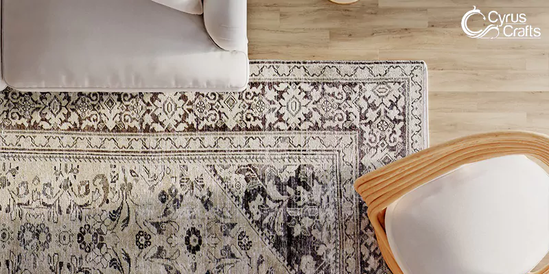 Patterned Rugs vs Plain Rugs: What Should You Choose?